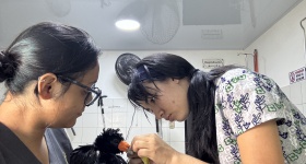MOVILIDAD ACADÉMICA INTERNACIONAL FORTALECE FORMACIÓN EN MEDICINA VETERINARIA